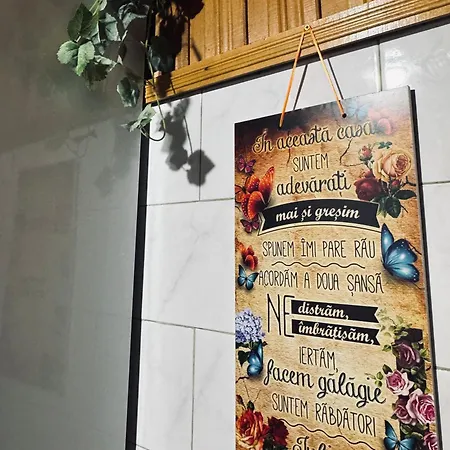 公寓 Sholiday 1 Bedroom Balcony &free Parking 蒂米什瓦拉