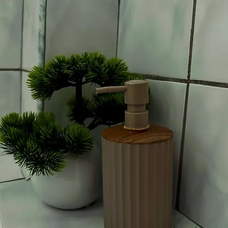 Sholiday 1 Bedroom Balcony &free Parking 蒂米什瓦拉