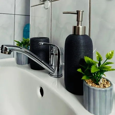 公寓 Sholiday 1 Bedroom Balcony &free Parking 蒂米什瓦拉