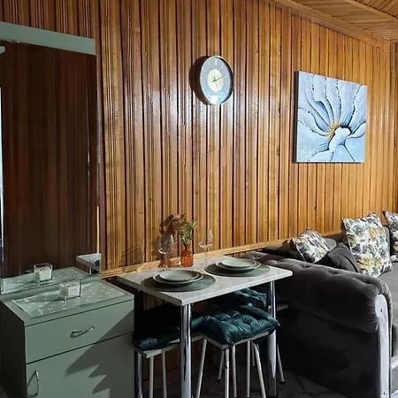 Sholiday 1 Bedroom Balcony &free Parking 公寓 蒂米什瓦拉