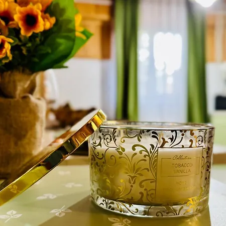 Sholiday 1 Bedroom Balcony &free Parking 公寓 *