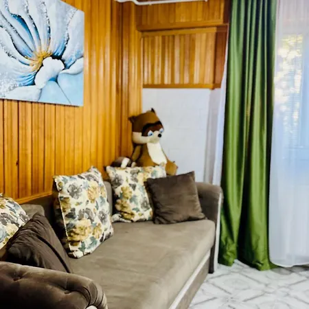 公寓 Sholiday 1 Bedroom Balcony &free Parking 蒂米什瓦拉