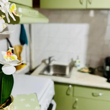 公寓 Sholiday 1 Bedroom Balcony &free Parking