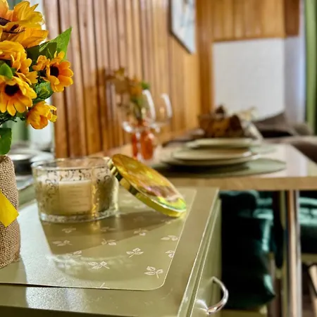 公寓 Sholiday 1 Bedroom Balcony &free Parking 蒂米什瓦拉