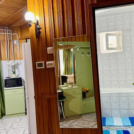 Sholiday 1 Bedroom Balcony &free Parking 公寓 蒂米什瓦拉