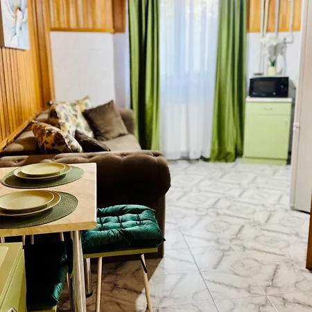 Sholiday 1 Bedroom Balcony &free Parking 蒂米什瓦拉