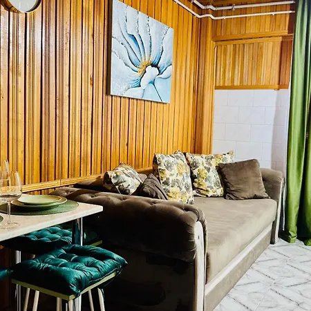 Sholiday 1 Bedroom Balcony &free Parking 公寓 *