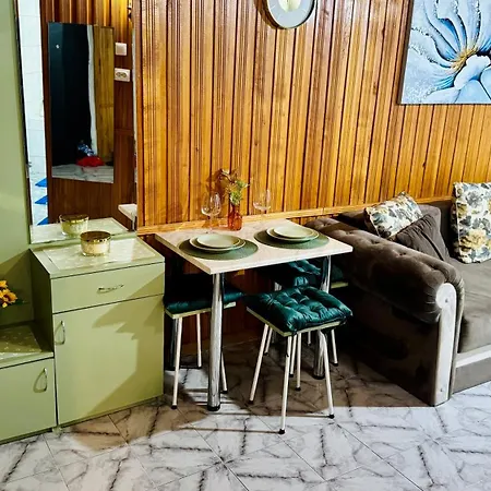 公寓 Sholiday 1 Bedroom Balcony &free Parking 蒂米什瓦拉