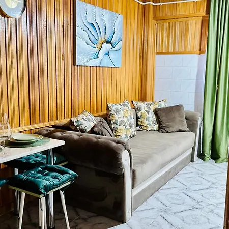 Sholiday 1 Bedroom Balcony &free Parking * Timişoara