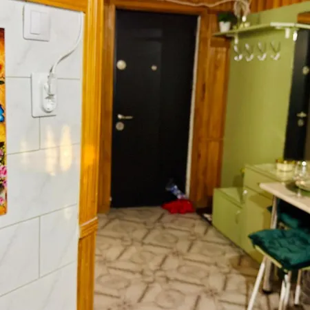 公寓 Sholiday 1 Bedroom Balcony &free Parking 蒂米什瓦拉