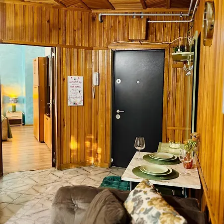 Sholiday 1 Bedroom Balcony &free Parking 公寓 *