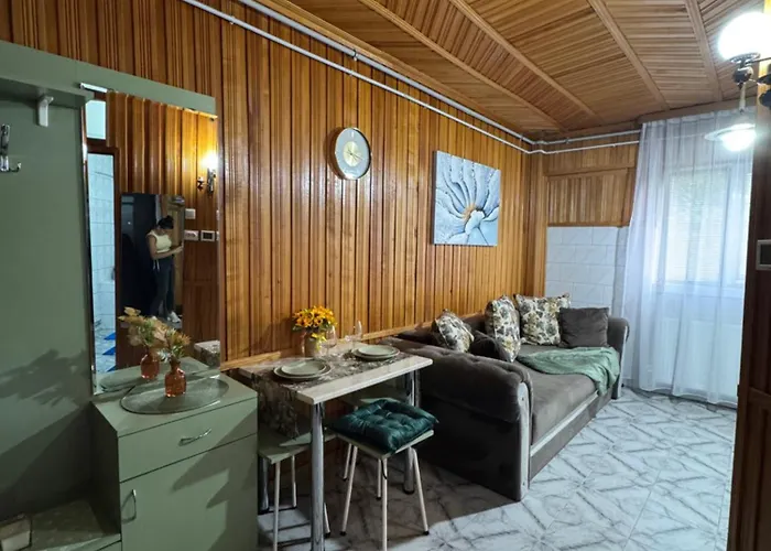 Sholiday 1 Bedroom Balcony &free Parking Apartamento Timişoara