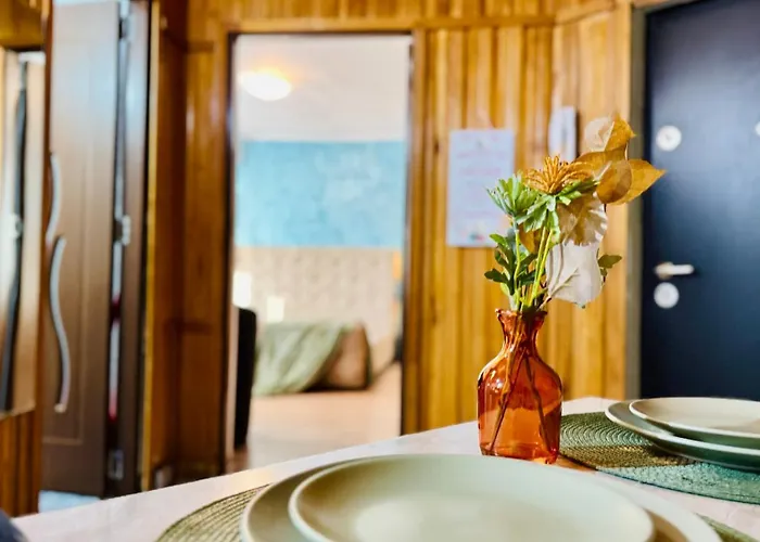 Sholiday 1 Bedroom Balcony &free Parking Timişoara