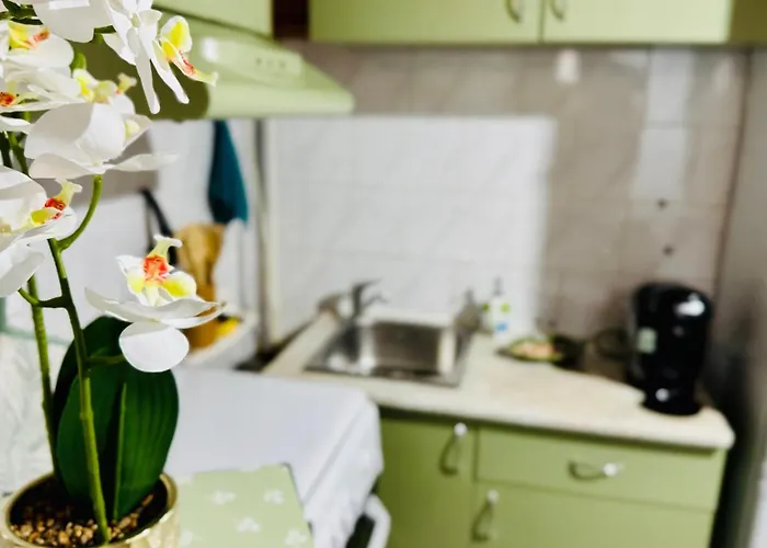 Apartamento Sholiday 1 Bedroom Balcony &free Parking