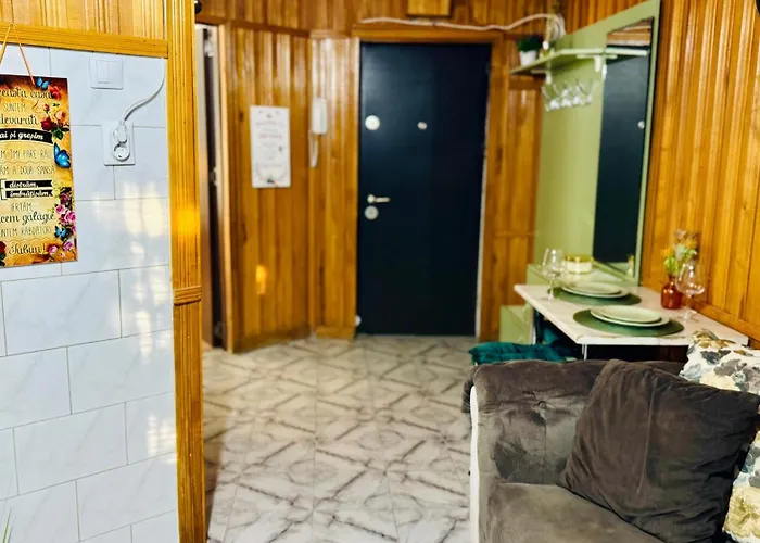 Sholiday 1 Bedroom Balcony &free Parking * Timişoara