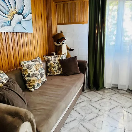 Sholiday 1 Bedroom Balcony &free Parking Temeşvar