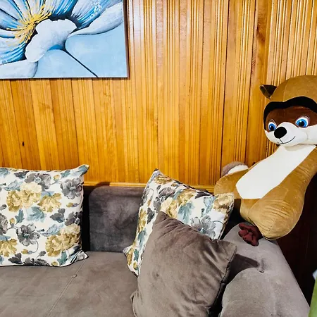 Sholiday 1 Bedroom Balcony &free Parking Temeşvar