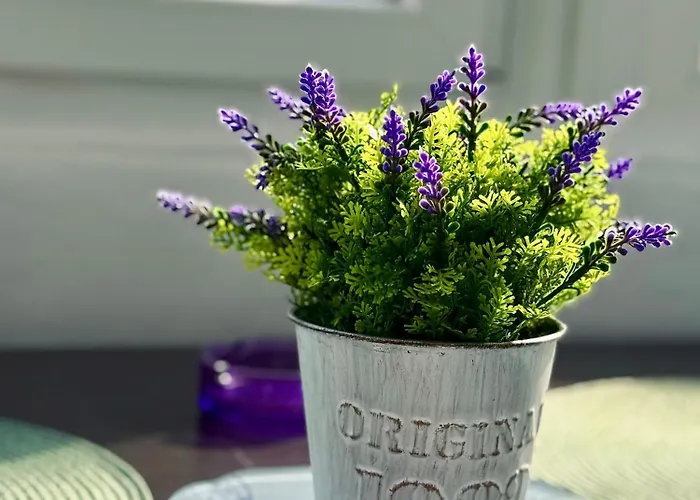 Sholiday 1 Bedroom Balcony &free Parking Daire Temeşvar