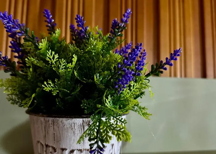 Sholiday 1 Bedroom Balcony &free Parking * Temeşvar