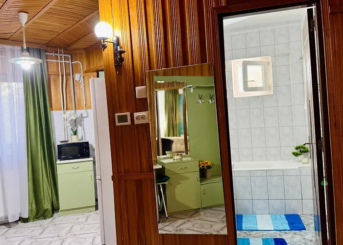 Sholiday 1 Bedroom Balcony &free Parking Daire Temeşvar