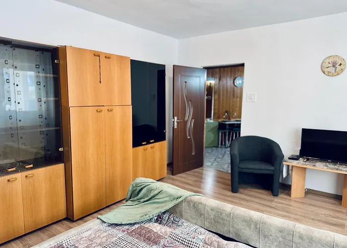 Sholiday 1 Bedroom Balcony &free Parking * Temeşvar